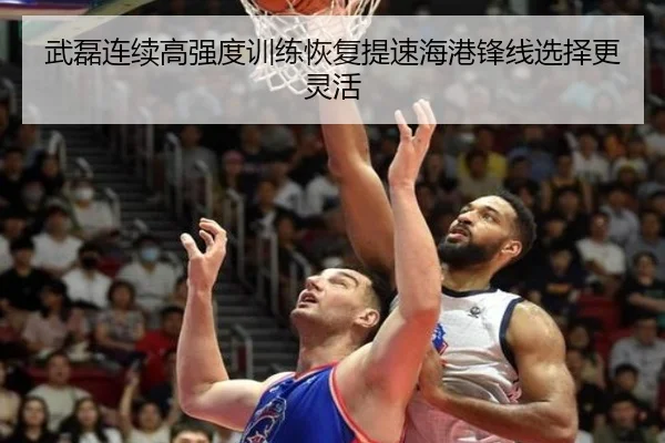 武磊连续高强度训练恢复提速海港锋线选择更灵活